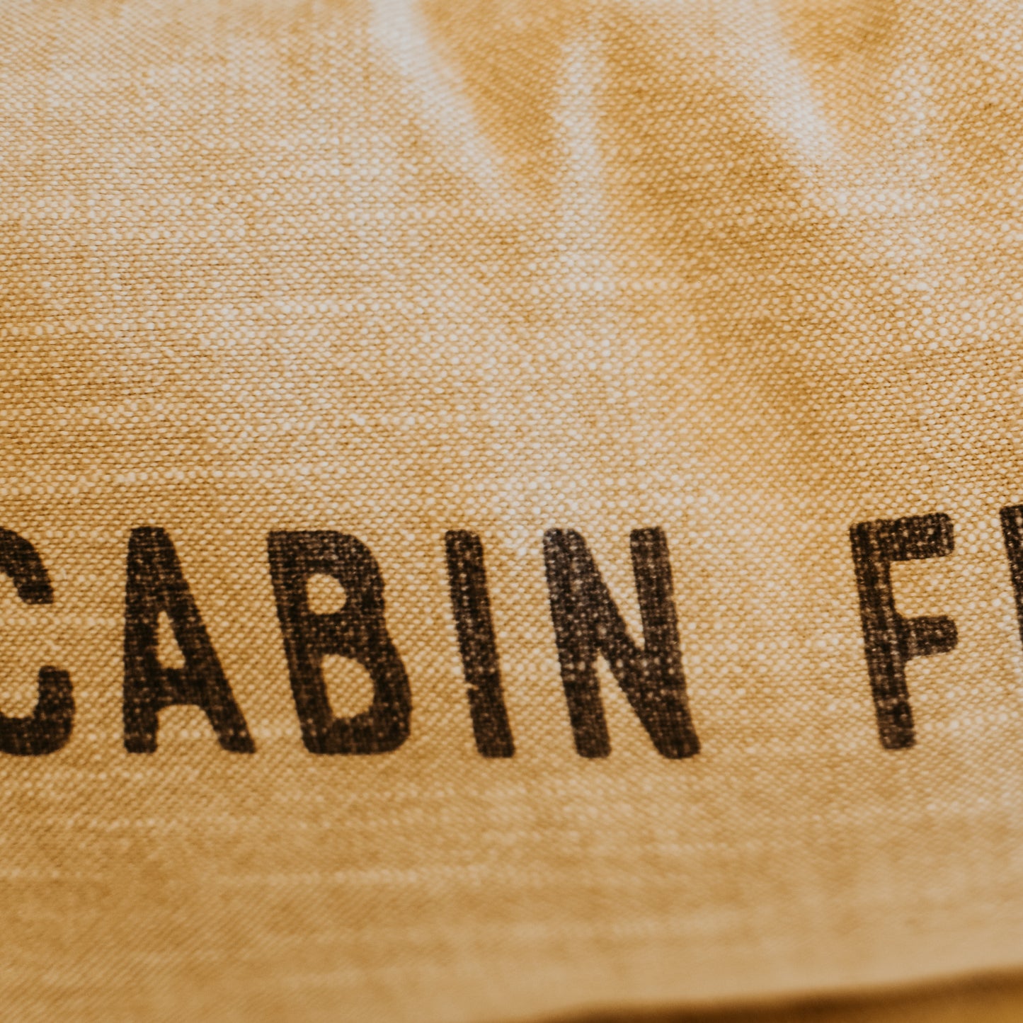 Cabin Fever Pillow