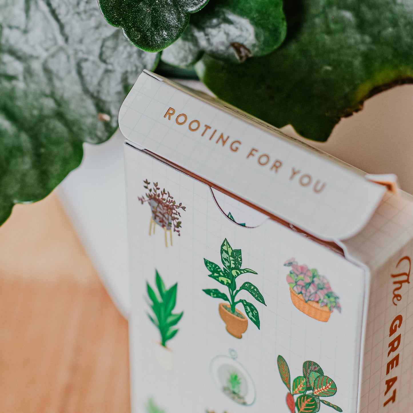 Great Indoors Playing Cards