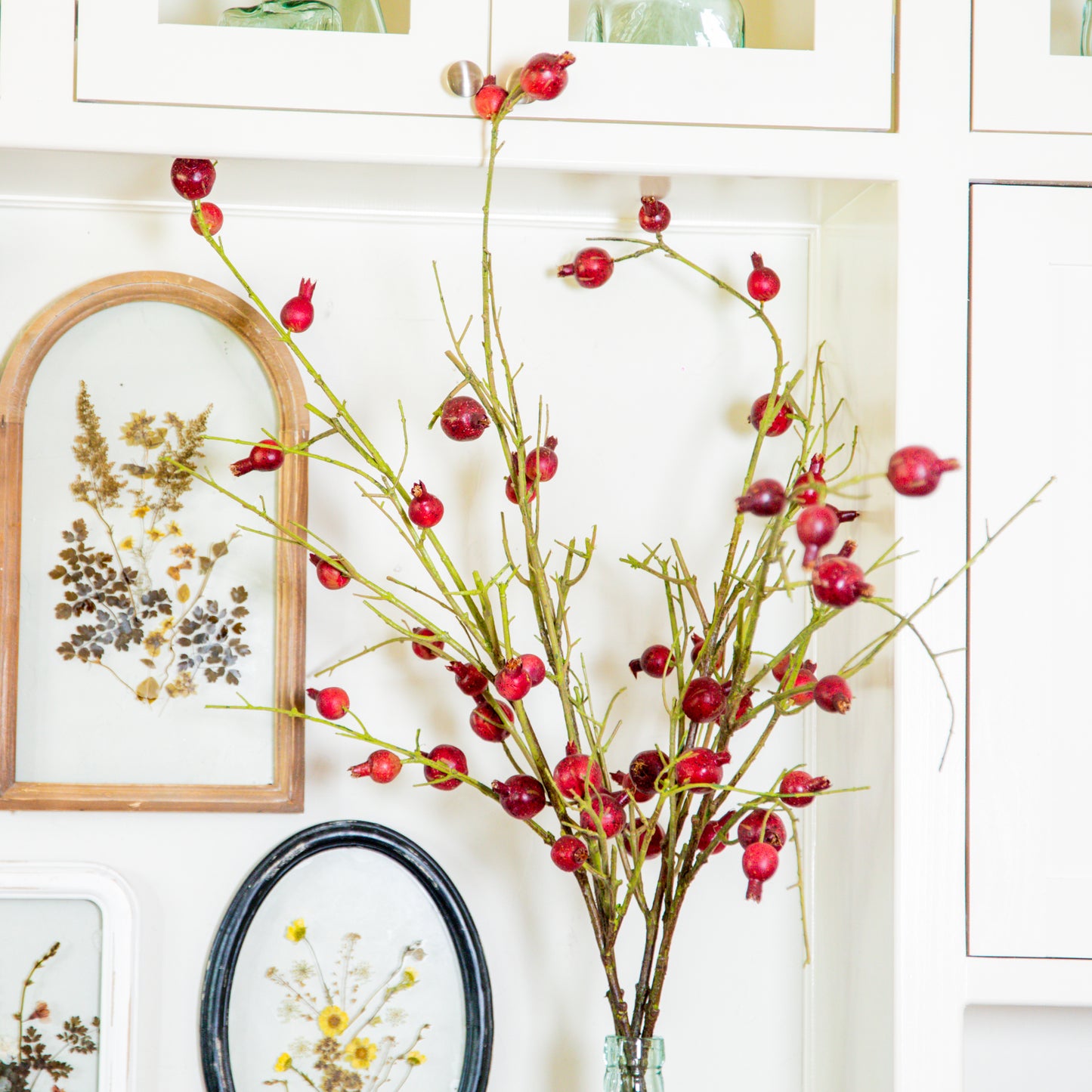 Pomegranate Branch