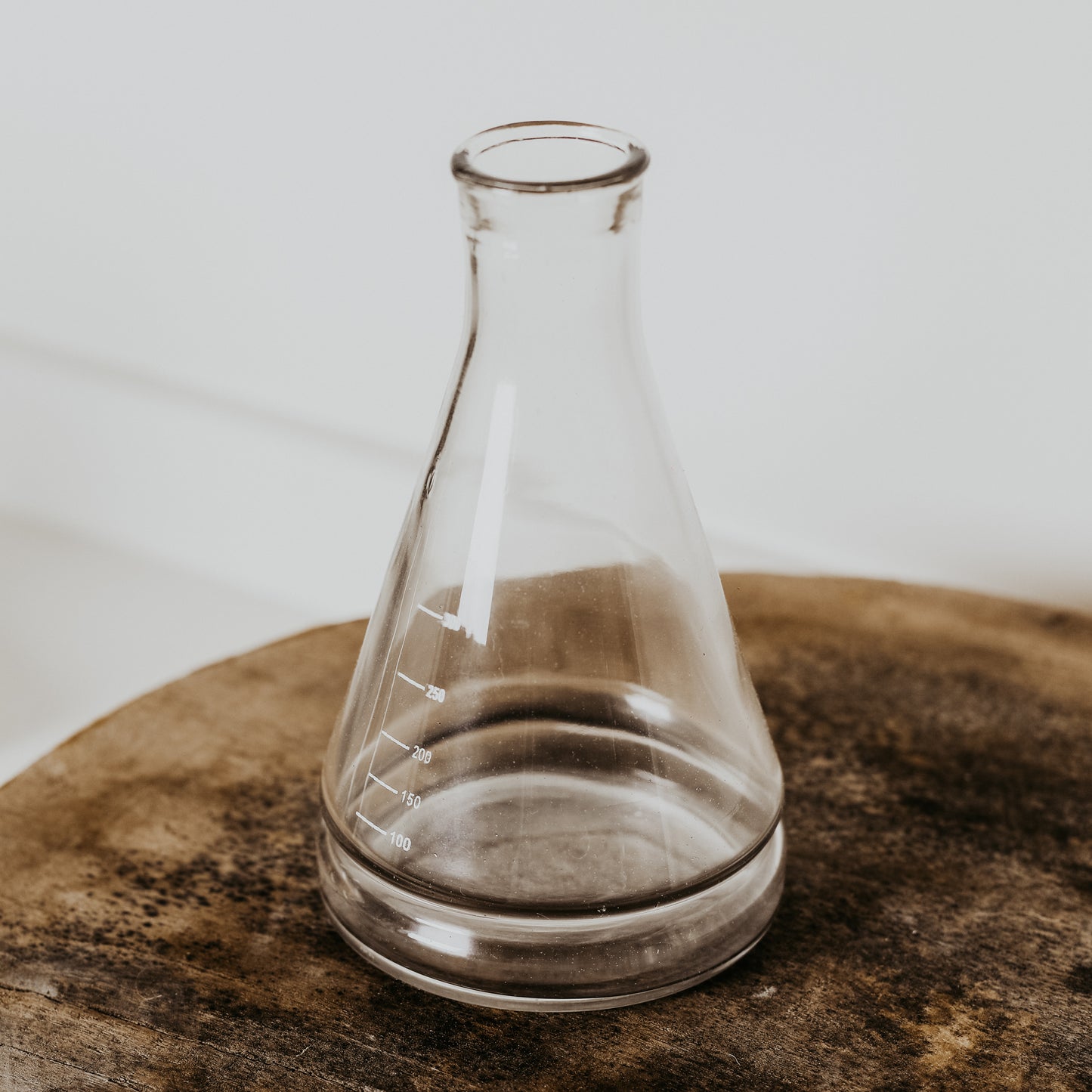 Glass Beaker Vase Trio