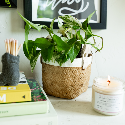 Stoneware Woven Basket Planters