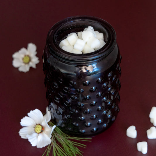 Old Money Scent Melt Mini's