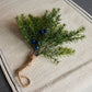 Hanging Evergreen Bunch