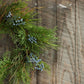 Juniper Wreath with Blue Berries