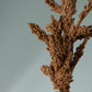 Neutral Seed Spray