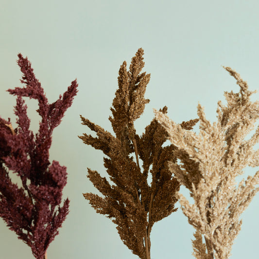 Neutral Seed Spray