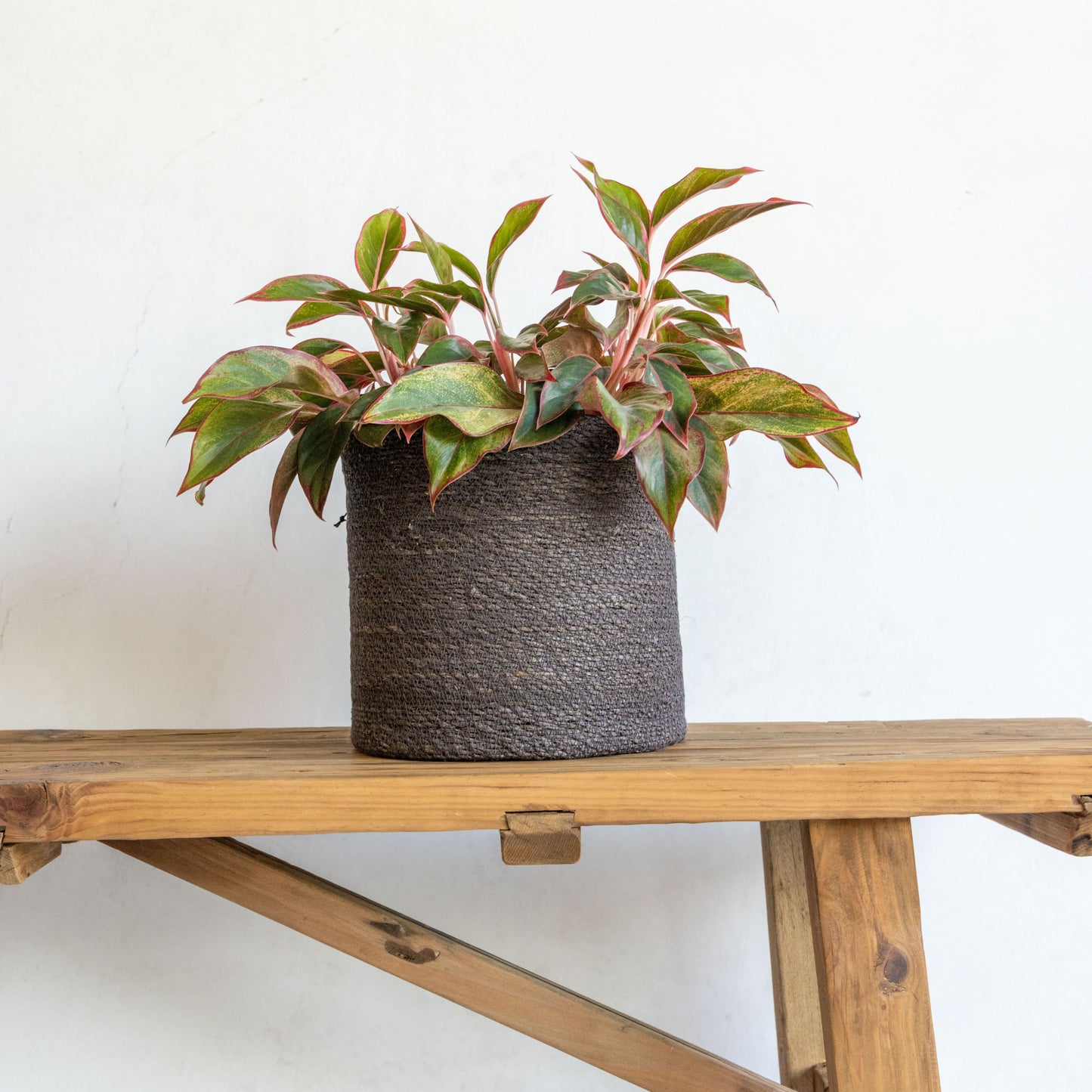 Woven Seagrass Basket with Lining