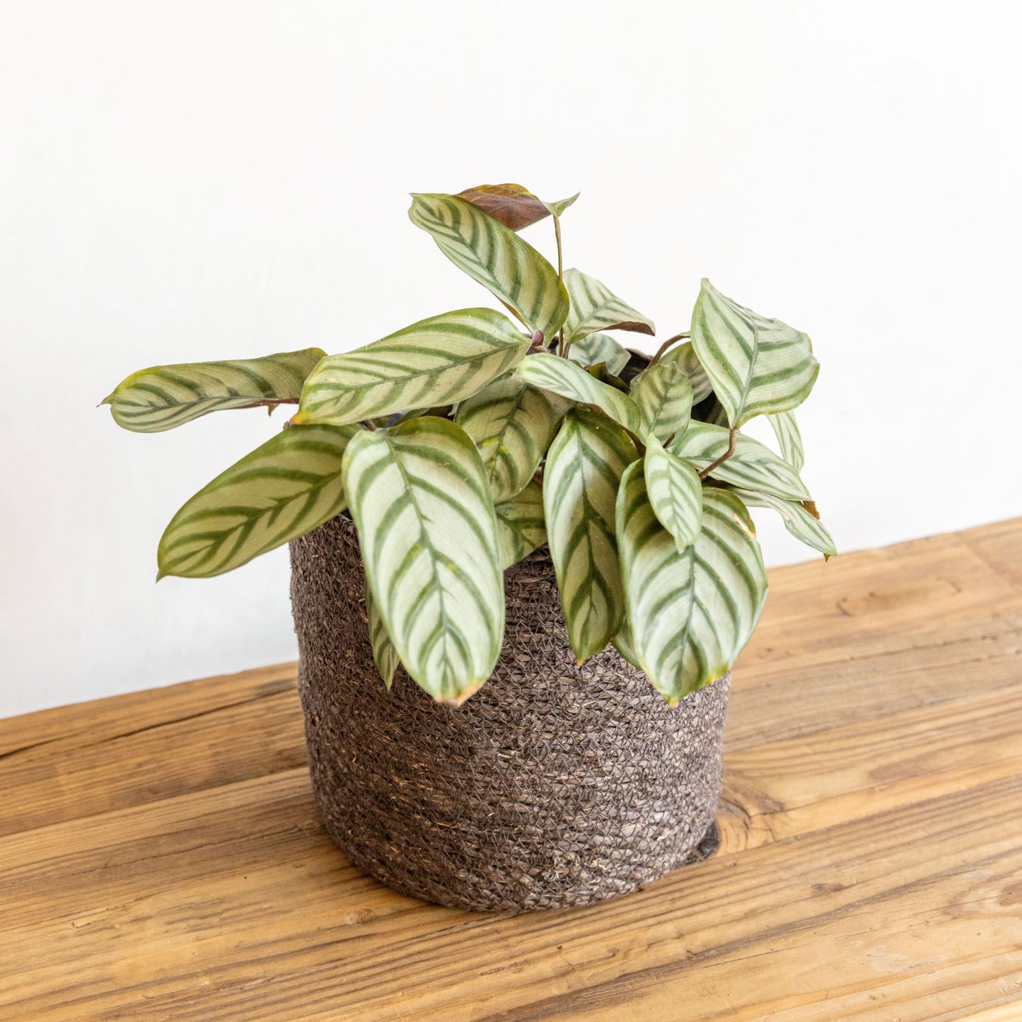 Woven Seagrass Basket with Lining