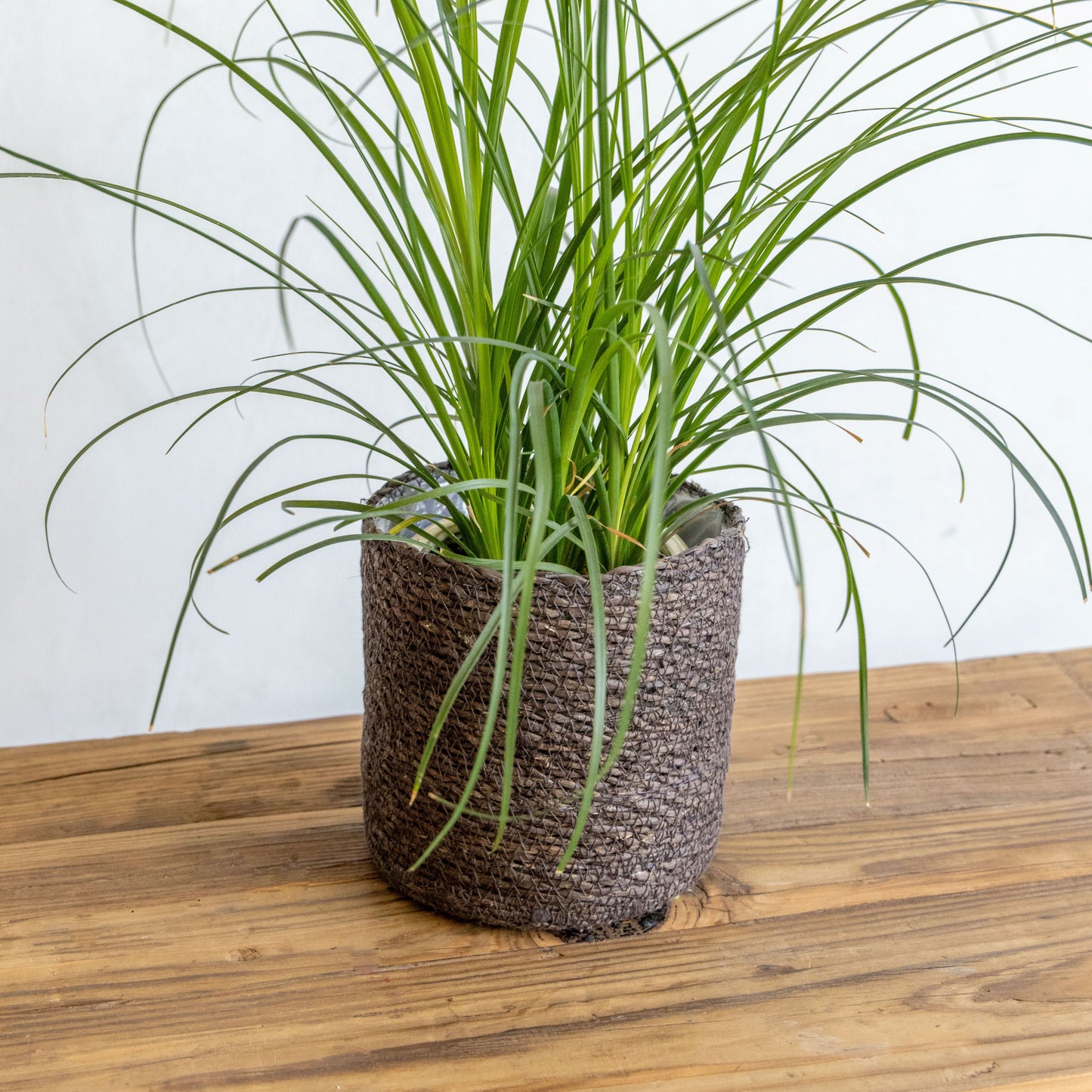 Woven Seagrass Basket with Lining