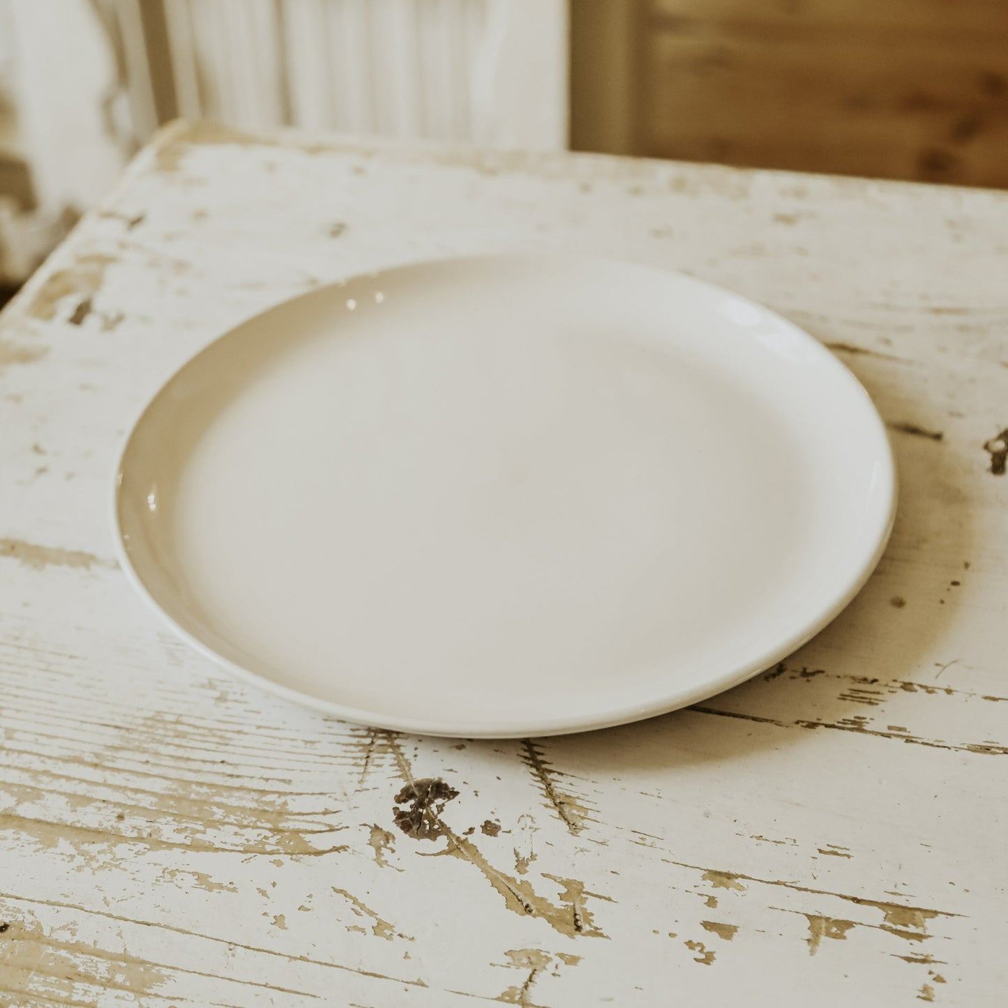 Stoneware Dinner Plate