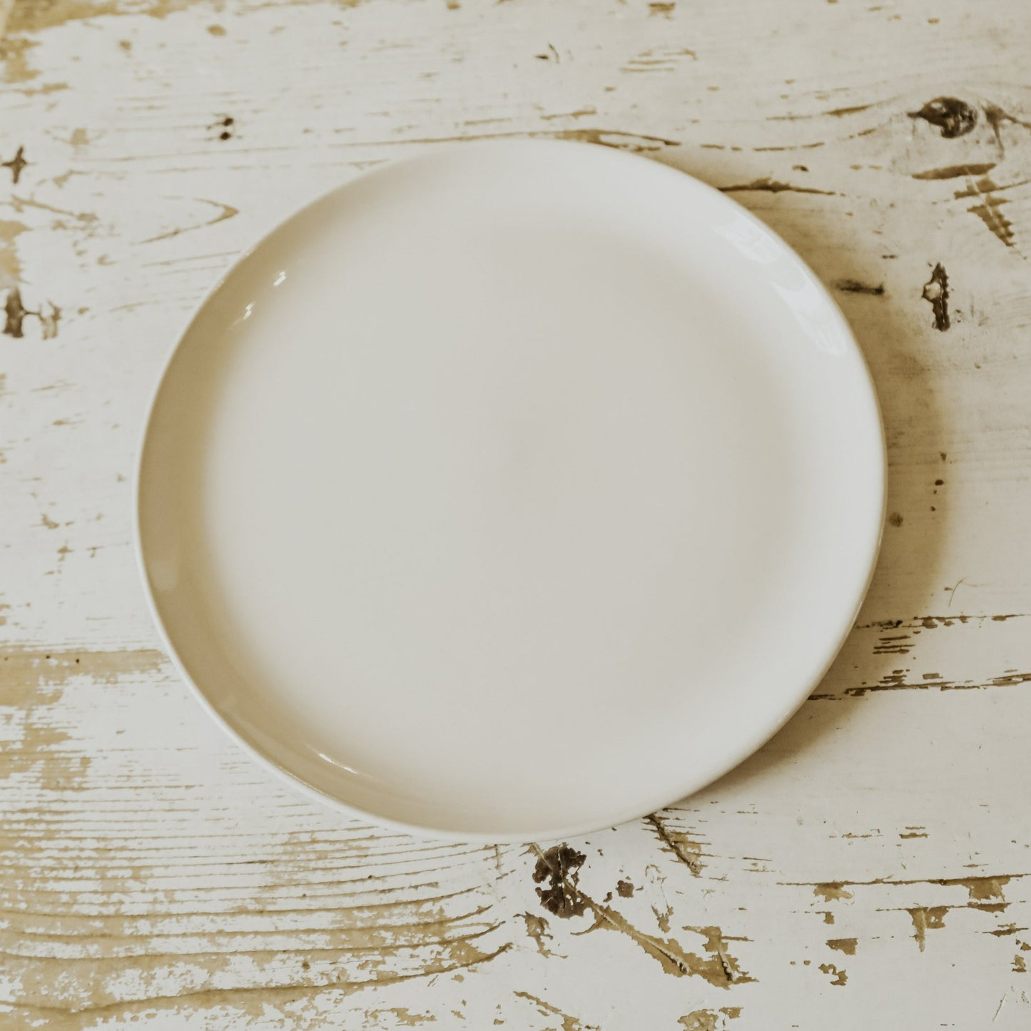 Stoneware Dinner Plate