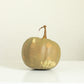 Green Heirloom Pumpkin, 6 Sizes