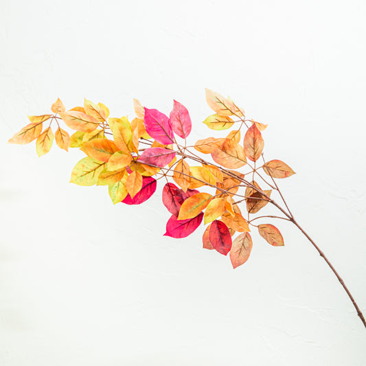 Autumn Virginia Creeper Leaf Spray