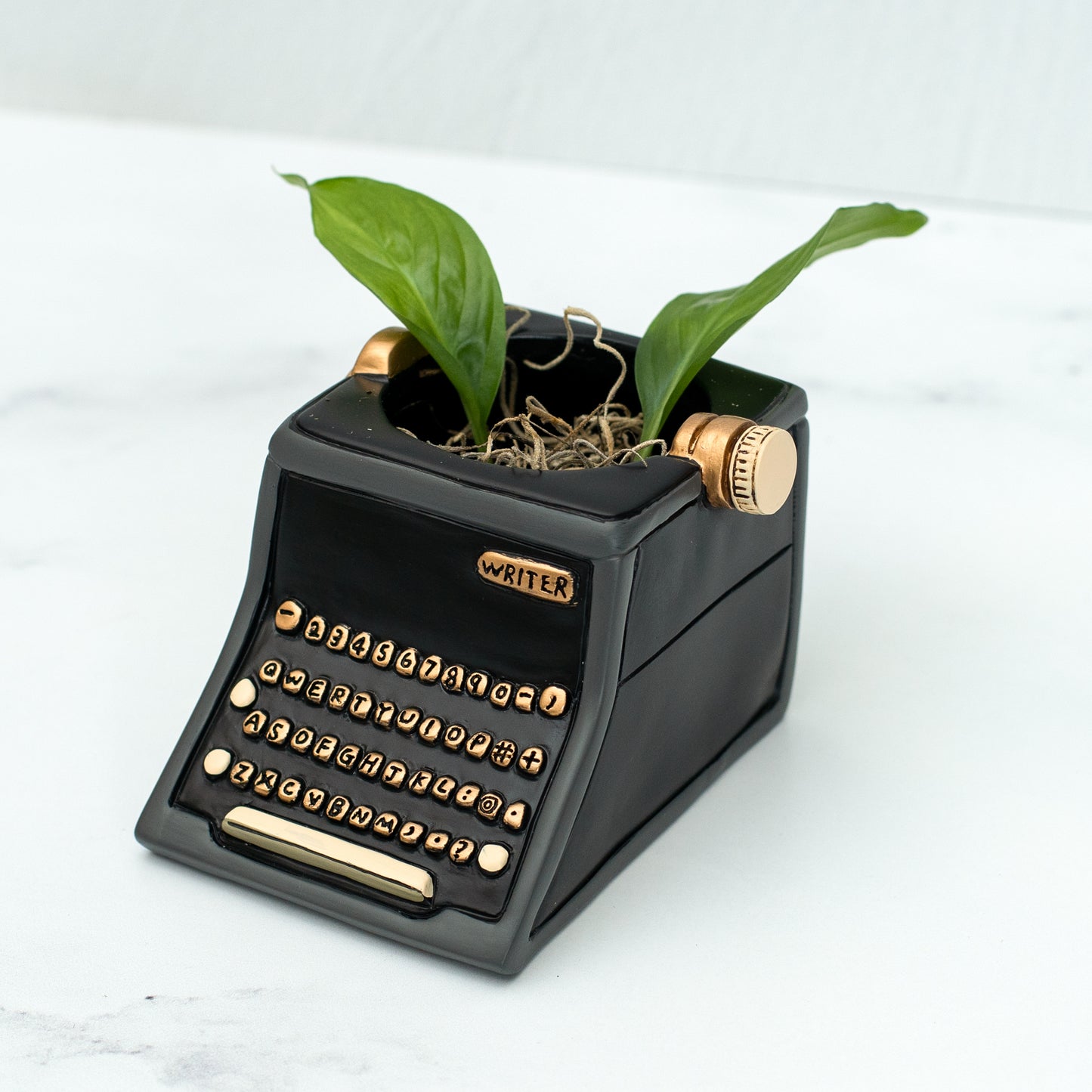 Typewriter Planter