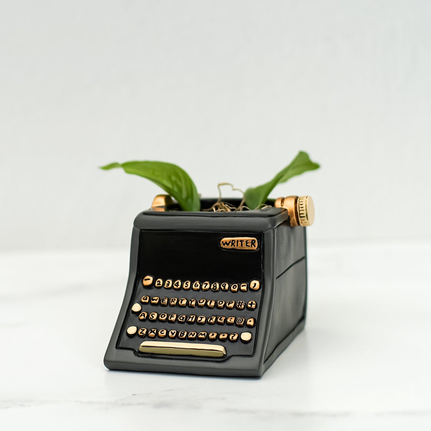 Typewriter Planter