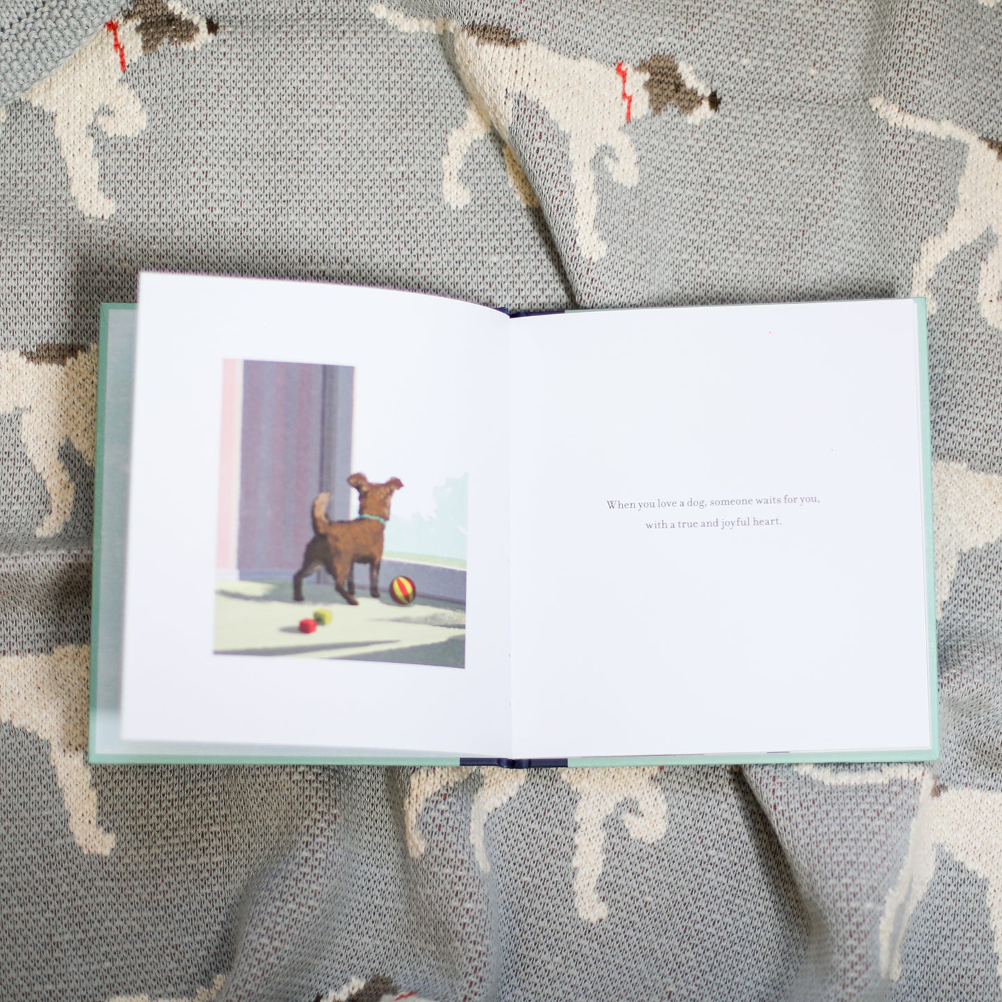 "When You Love A Dog" Book