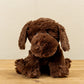Chocolate Labrador Warmie