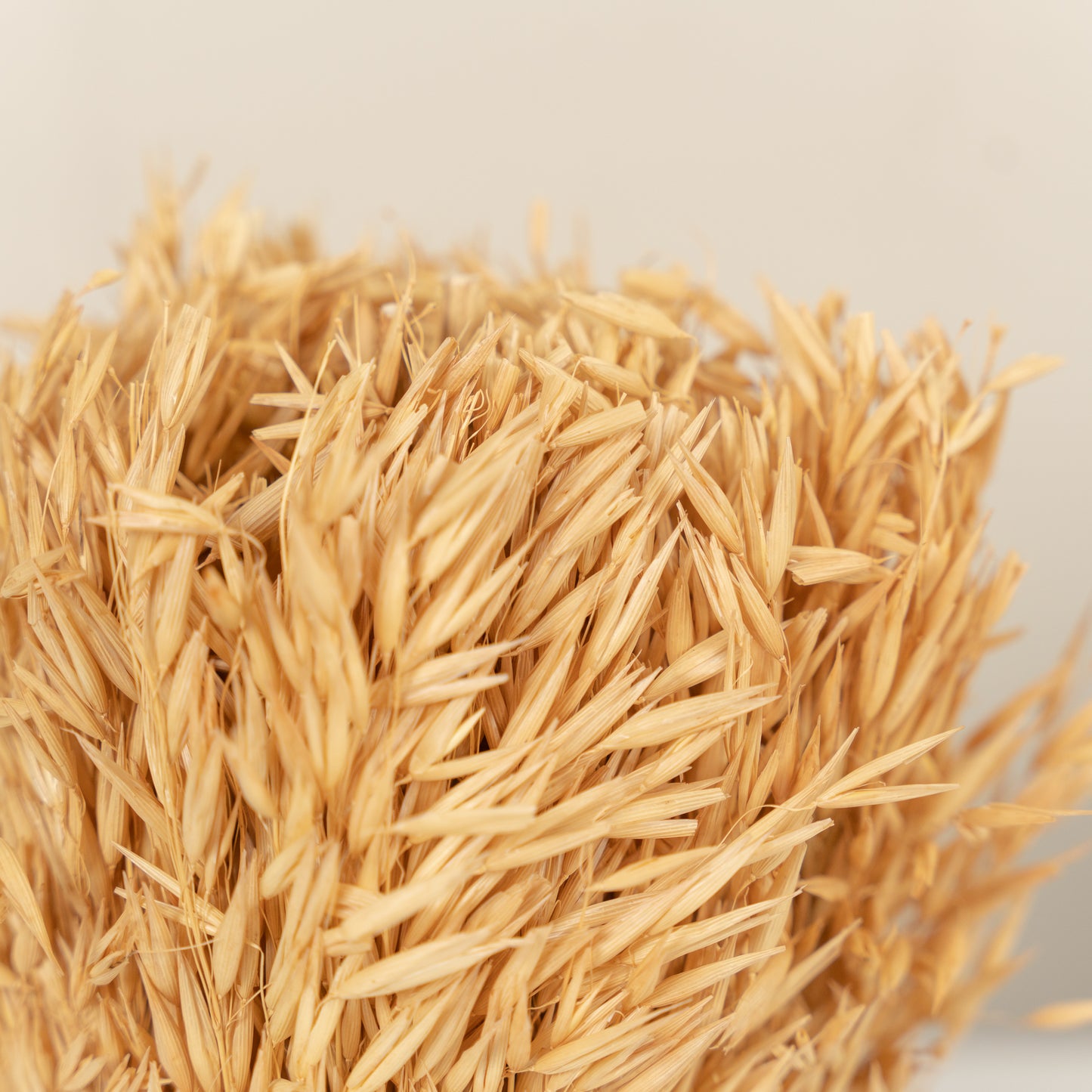 Dried Natural Wheat Bundle