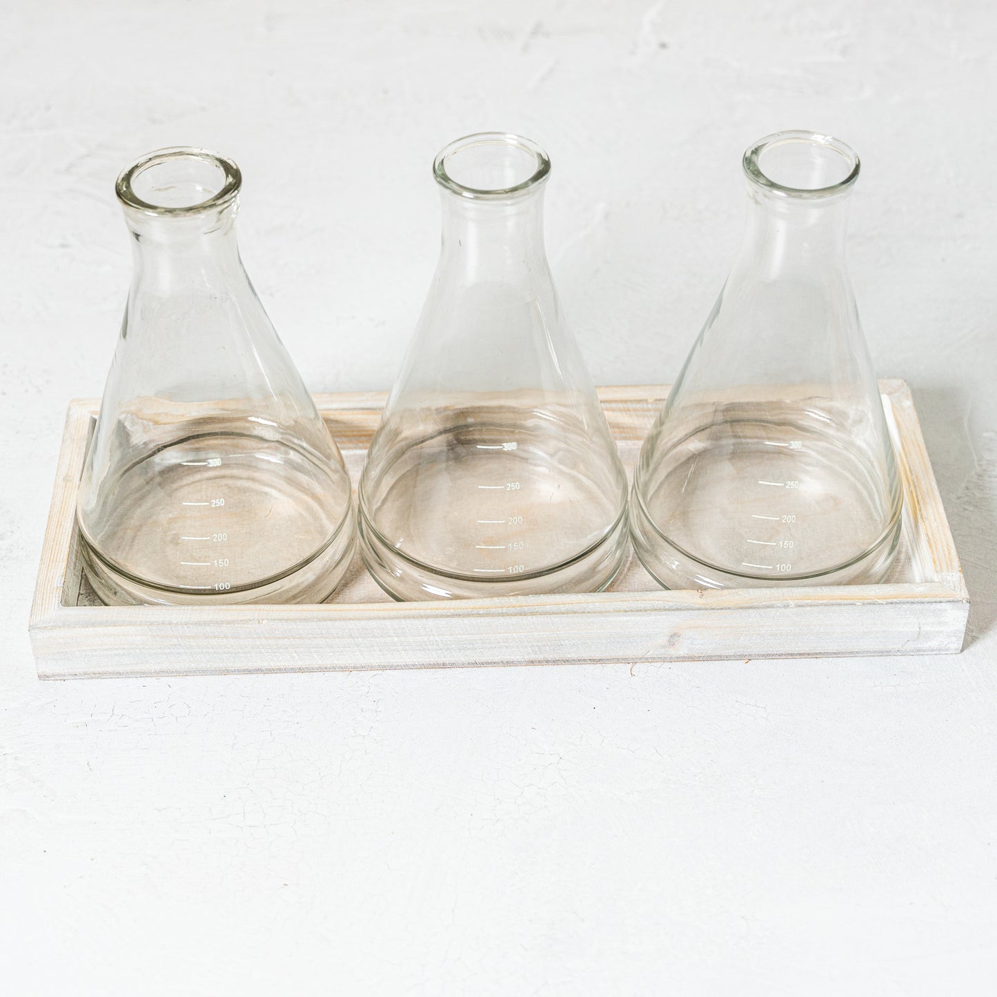 Glass Beaker Vase Trio