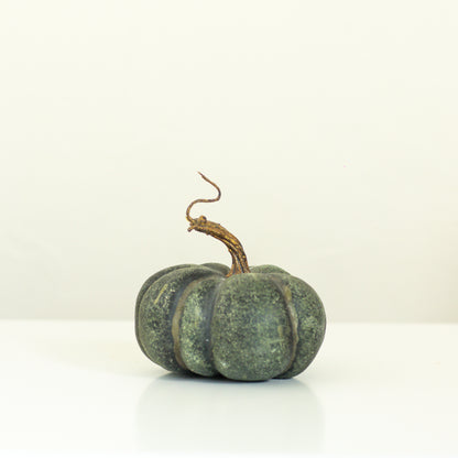 Green Heirloom Pumpkin, 6 Sizes