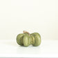 Green Heirloom Pumpkin, 6 Sizes