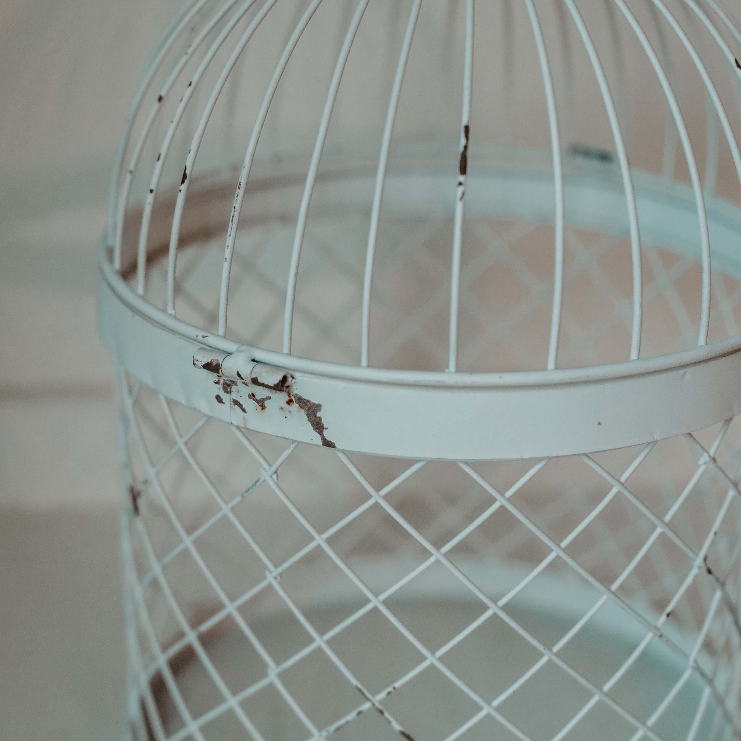 Rectangular White Washed Decorative Metal Bird on sale Cage Shabby Chic Decor