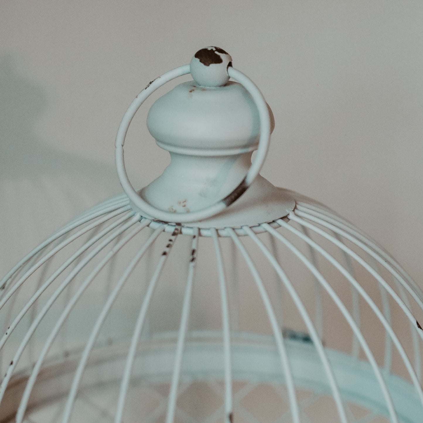 Decorative Birdcage