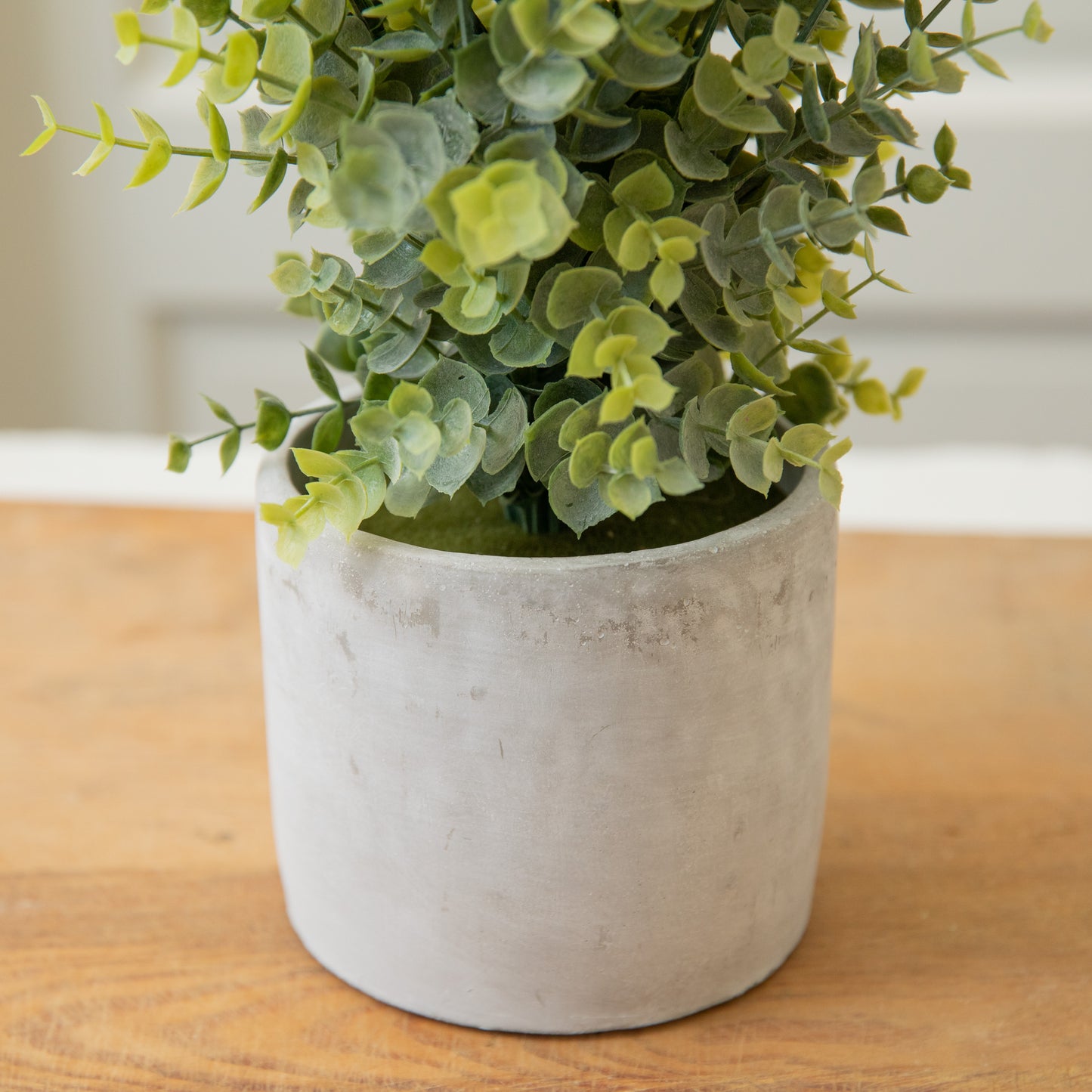 Artificial Boxwood in a Cement Pot