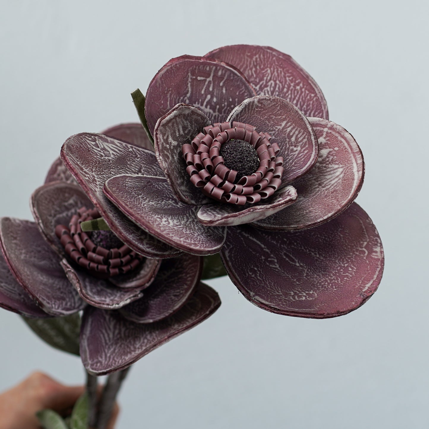 Purple Botanical Stem