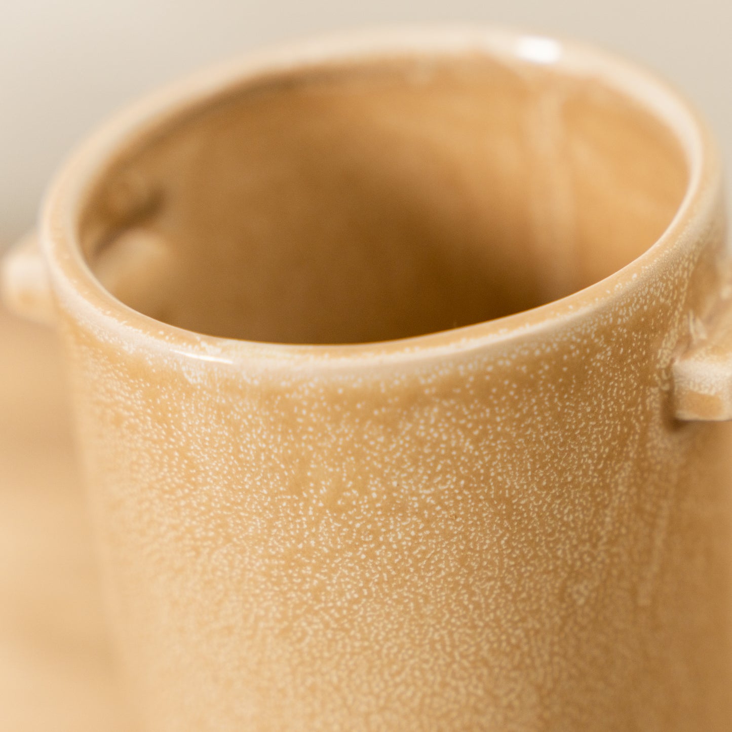 Slender Stoneware Vase with Handles