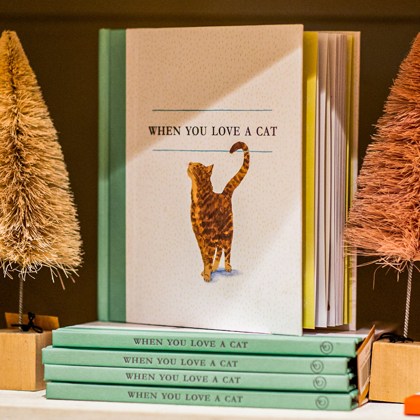 "When You Love A Cat" Book