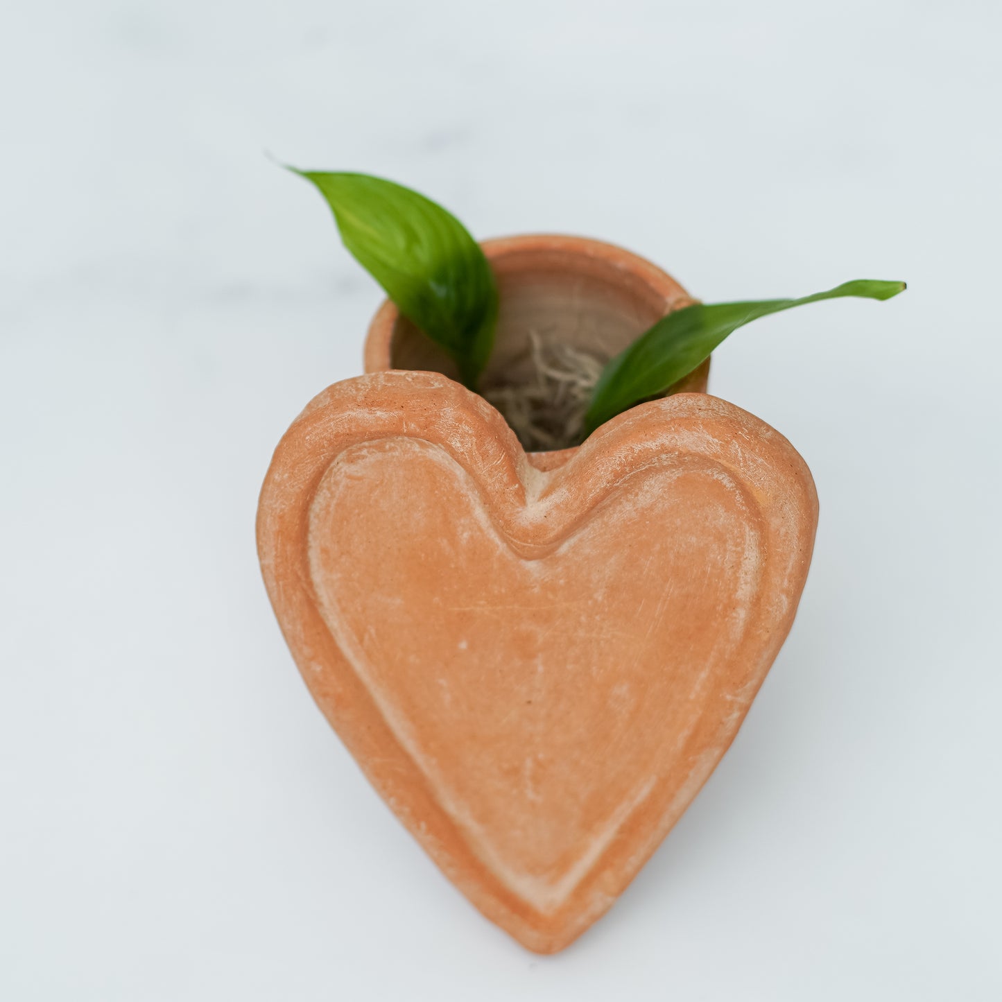 Terracotta Heart Vase