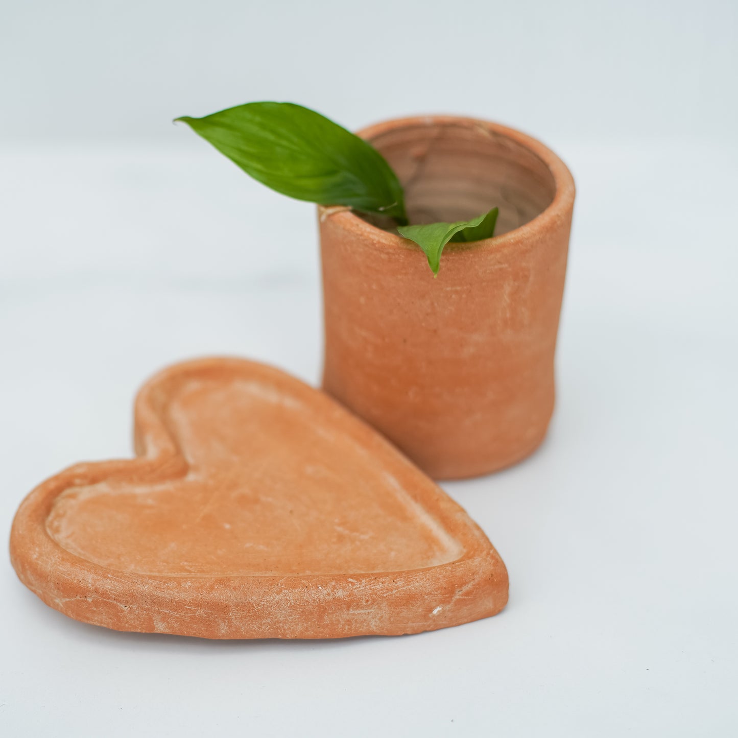 Terracotta Heart Vase