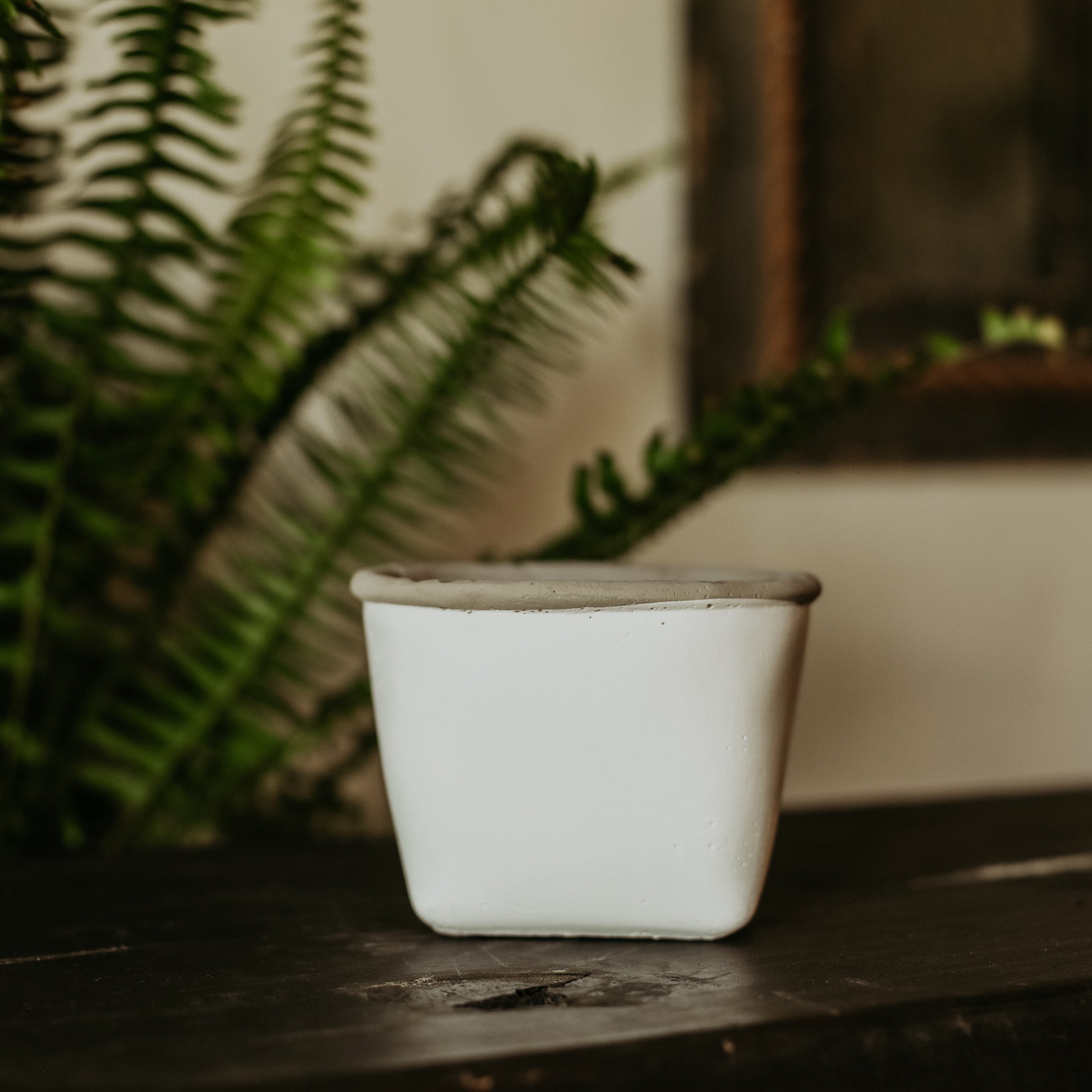 white cement plant pot White Cement Planters – 80AcreMarket.com